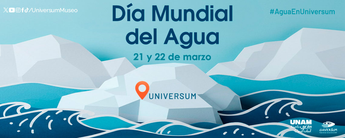 Día Mundial de Agua 2025